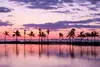 Ville - Circuit Splendeurs de Floride & Croisière Key West et Mexique & extension Miami Beach Miami Etats-Unis