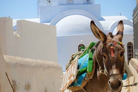 Circuit Périples dans les Cyclades depuis Athènes - Mykonos, Paros et Santorin 3* photo 2