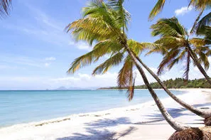 Guadeloupe-Pointe A Pitre, Combiné hôtels 2 iles : Auberge de la Vieille Tour + Bakoua