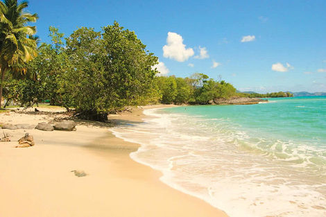 Combiné hôtels 3 îles - Guadeloupe + Sainte Lucie + Martinique : Karibéa Le Salako 3* + Ti Kaye Resort & Spa 4* + Karibéa Amyris 3* photo 12