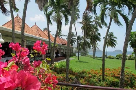 Autres - Combiné hôtels 2 îles - Guadeloupe et Martinique : Auberge de la Vieille Tour et Bakoua 4* Pointe A Pitre Guadeloupe