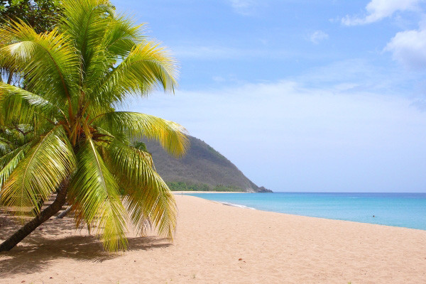 Plage - Entre plages et terres de feu