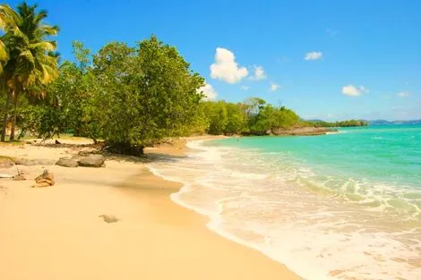 Combiné hôtels 3 îles - Guadeloupe + Sainte Lucie + Martinique : Karibéa Le Clipper 3*, Ti Kaye Resort & Spa 4*, Karibéa Amandiers 3* photo 12