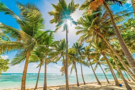 Guadeloupe : Combiné hôtels Nature Islands