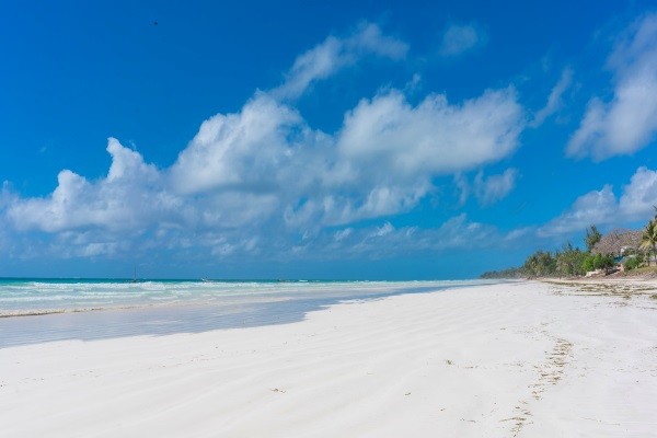 Hôtel Combiné Safari Kenya Et Plage De Watamu