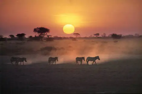 Kenya : Combiné circuit et hôtel Diamonds Leisure Beach avec 3 nuits safari Tsavo Est/Ouest et Amboseli