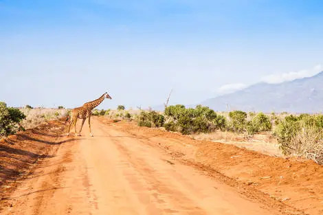 Combiné Diani Sea Resort 4* avec 1 nuit de safari à Tsavo Est Kenya Mombasa