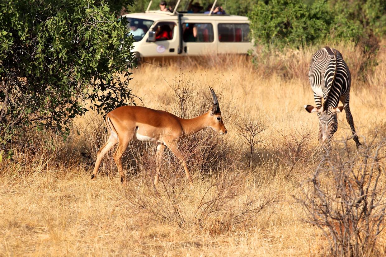 Kenya : Combiné circuit et hôtel Framissima Evasion Barracuda Resort 4* avec 1 nuit Tsavo Est