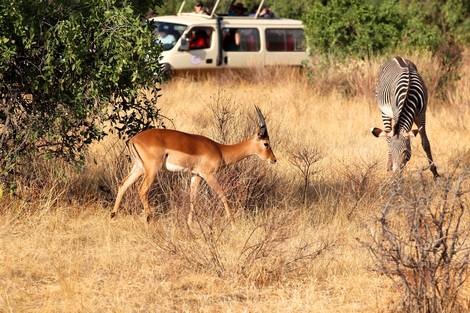 Kenya : Combiné circuit et hôtel Framissima Evasion Barracuda Resort 4* avec 1 nuit Tsavo Est