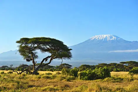 Kenya : Hôtel Hôtel Jumbo resort Watamu 4* avec 3 nuits Tsavo est / ouest et Amboseli