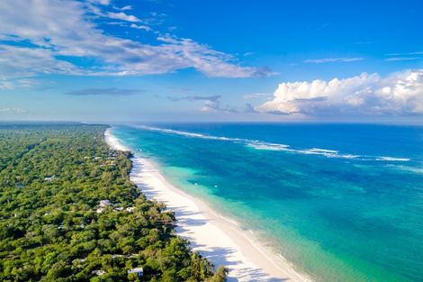 Hôtel Combiné Séjour Diani Sea Resort / Safari Big Five 4*