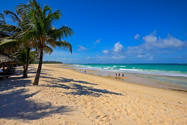 Kenya : Combiné circuit et hôtel Savane et Sable sur la Terre du Roi Lion