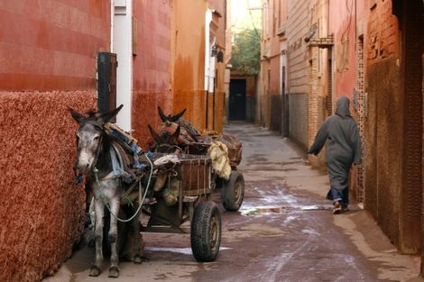 Combiné hôtels Combiné séjour De Essaouira à Marrakech : perle de l'Atlantique et ville rouge photo 13