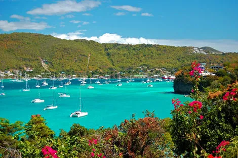 Nature - Combiné croisière et hôtel Croisière Grenadines + Sejour à l'hôtel Karibea Caribia 3* Fort De France Martinique