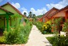 Nature - Combiné croisière et hôtel Croisière Grenadines + Sejour à l'hôtel Bambou 3* Fort De France Martinique