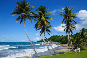 Martinique-Fort De France, Combiné hôtels Découverte de "l'île aux Fleurs" en toute liberté !