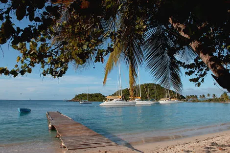 Nature - Combiné croisière et hôtel Croisière Grenadines + Sejour à la Résidence Diamant Beach 2* Fort De France Martinique
