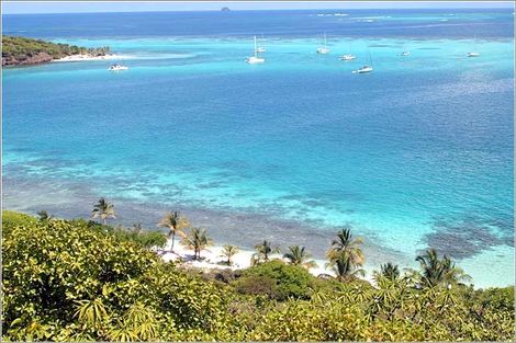 Nature - Combiné croisière et hôtel Croisière Grenadines + Sejour à la Résidence Diamant Beach 2* Fort De France Martinique
