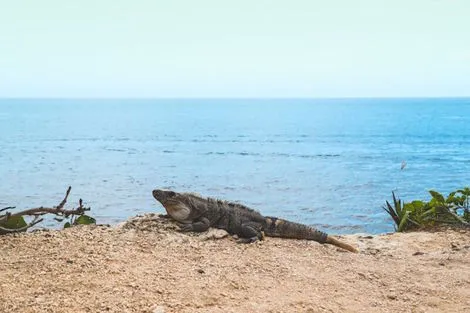 Mexique : Combiné circuit et hôtel Balade Yucateque avec 5 nuits de balnéaire à Cancun