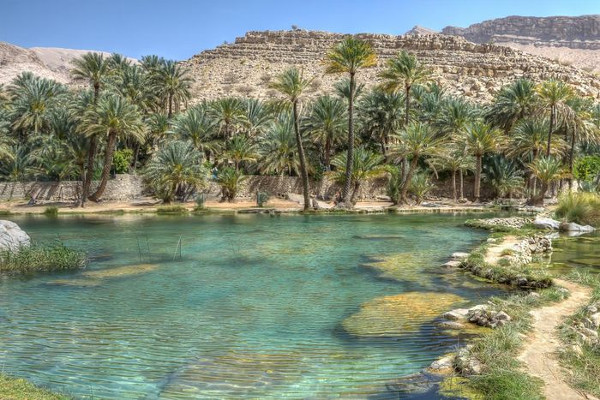 Oasis