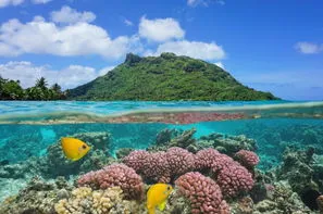 Polynesie Francaise-Papeete, Combiné hôtels 4 îles : Tahiti, Huahine, Bora Bora et Moorea sup