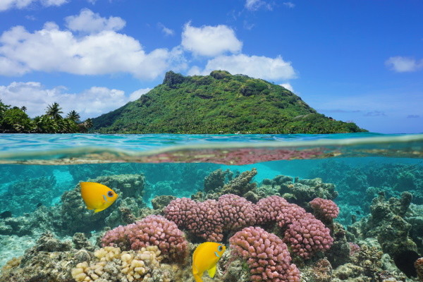 Nature - Combiné hôtels 4 îles : Tahiti, Huahine, Bora Bora et Moorea 3* sup Papeete Polynesie Francaise