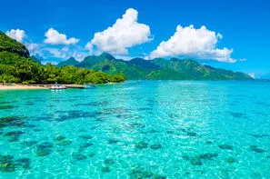 Polynesie Francaise-Papeete, Combiné hôtels Pensions de famille - 2 îles : Tahiti, presqu'île de Tahiti et Moorea