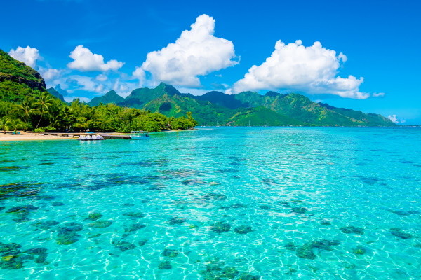 Nature - Combiné hôtels Pensions de famille - 2 îles : Tahiti, presqu'île de Tahiti et Moorea 2* Papeete Polynesie Francaise