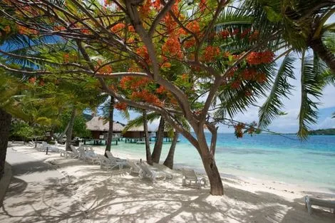 Plage - Combiné hôtels 3 Îles Maitai : Tahiti, Moorea et Bora Bora Papeete Polynesie Francaise