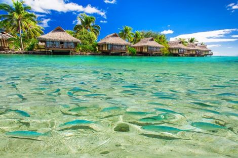 Combiné hôtels 4 îles : Tahiti – Huahine– Bora Bora – Moorea 3* sup photo 5