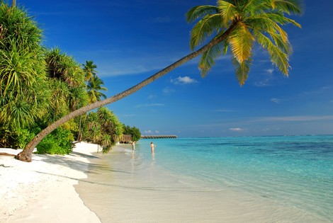 Plage - Combiné hôtels 4 îles : Tahiti – Huahine– Bora Bora – Moorea 3* sup Papeete Polynesie Francaise