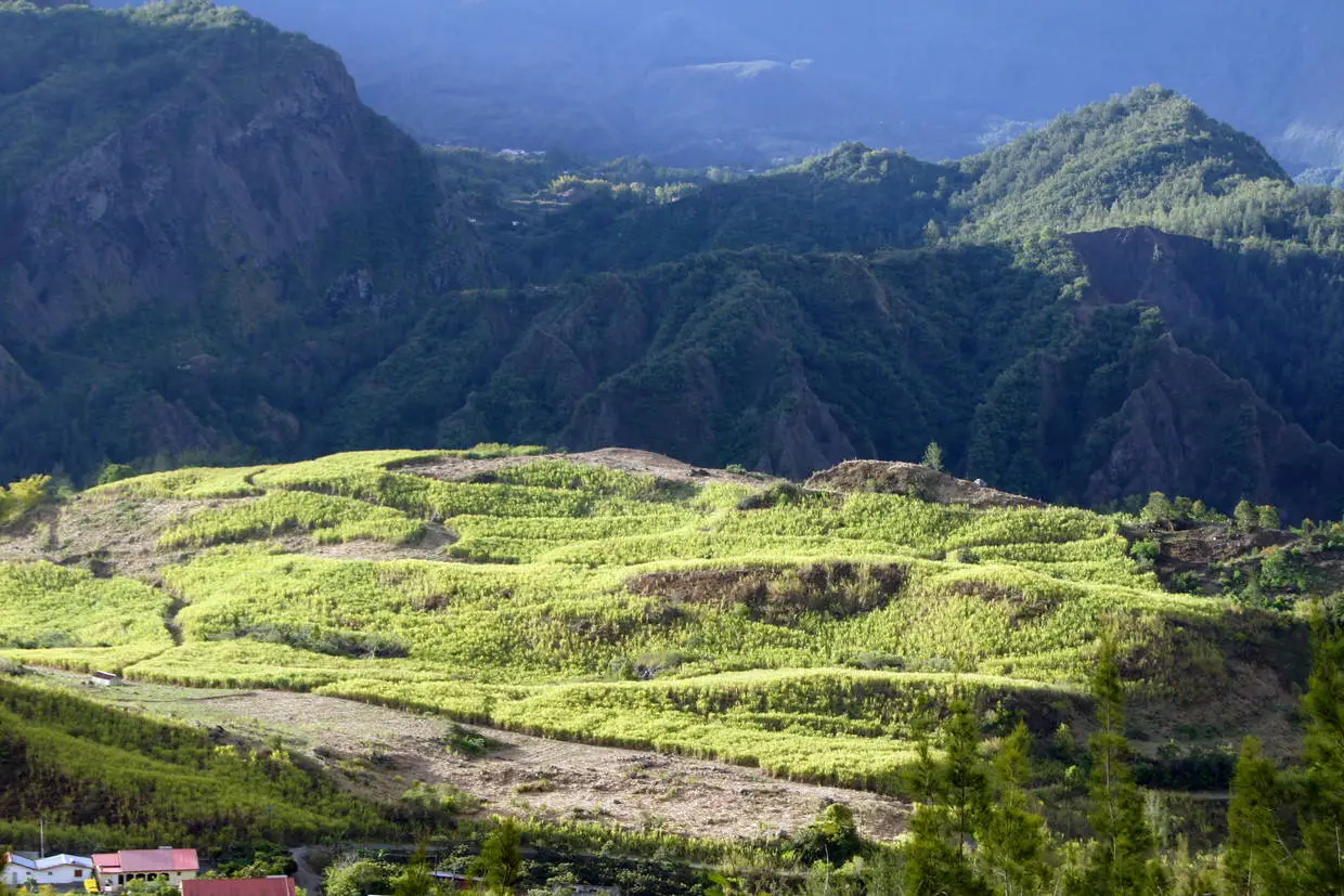Reunion : Combiné circuit et hôtel Réunion sauvage et extension au Framissima Casuarina Resort & Spa