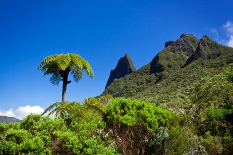 Autotour Découverte Réunion 2* + Île Maurice à l'hôtel Le Palmiste 3*