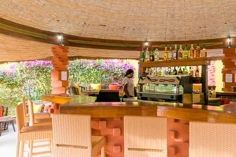 Bar - Combiné circuit et hôtel Circuit Plages, culture & tradition avec extension au Bougainvillées 4* Dakar Senegal