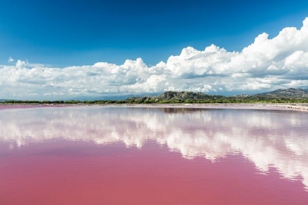 Lac Rose