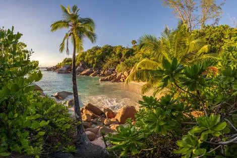 Seychelles : Combiné hôtels Combiné 2 îles - Côte d'Or Footprints 3* (4 nuits) + Sun Properties 4* (3 nuits)