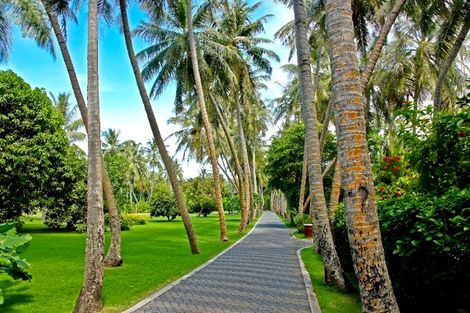 Combiné circuit et hôtel Sri Lanka Authentique + Maldives au Sun Island photo 22