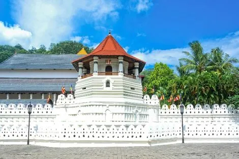 Sri Lanka : Circuit L'Île Merveilleuse 3* & extension à l'hôtel Maalu Maalu Resort