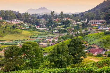 vol+hotel Combiné Cœur de Ceylan 3* & plage du Fram Sélection Riu Sri Lanka 5* Sri Lanka Colombo
