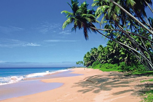 Plage hotel The Palms - L'ile Merveilleuse 3* & 4* + Extension The Palms