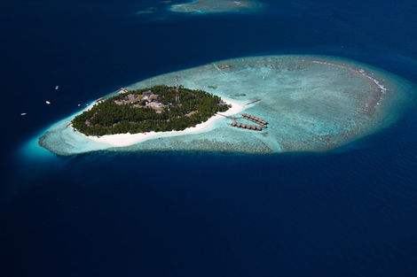 Combiné circuit et hôtel Sri Lanka Authentique + Maldives au Fihalhohi Island Resort photo 9