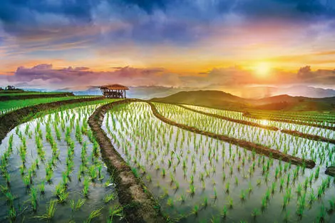 Combiné Richesses et traditions de Thaïlande + extension Framissima Kalima Khao Lak  Thailande Bangkok