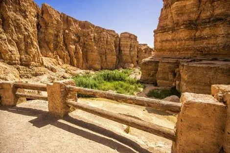 Tunisie : Combiné circuit et hôtel Mer et Palmeraies en Hôtel Deluxe