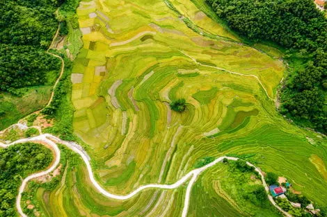 Vietnam : Combiné circuit et hôtel Vietnam Intimiste ext. Phu Quoc - Limité à 16 pers.