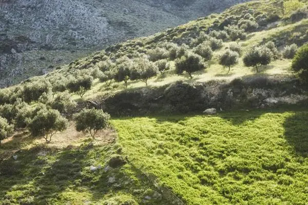 Crète : Hôtel Earino
