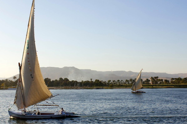 Coeur de l'Egypte