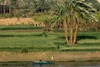 Nature - Croisière Cœur de l'Egypte - M/S Da Vinci - 5 visites incluses 5* Louxor Egypte