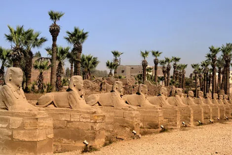 Croisière D'Abydos à Assouan photo 3
