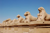 Monument - Croisière Beautés au fil du Nil 5* Louxor Egypte