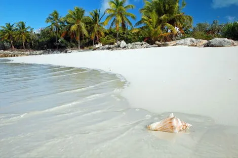 Saint Martin : Croisière Turquoise Saint Barthélémy Catlante C600 Standard - 7 nuits